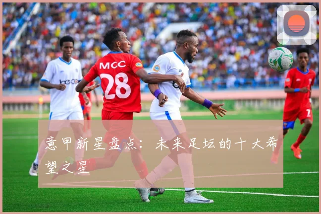 意甲新星盘点:未来足坛的十大希望之星